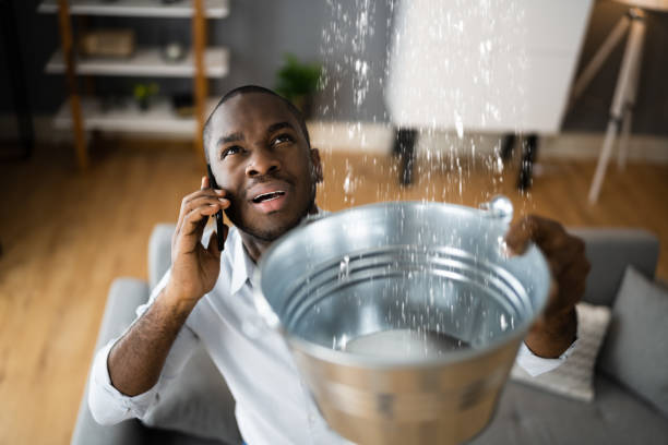 Best Local water damage restoration  in Nevada, MO