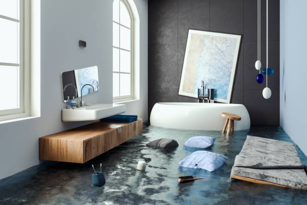 Best Basement water damage restoration  in Nevada, MO