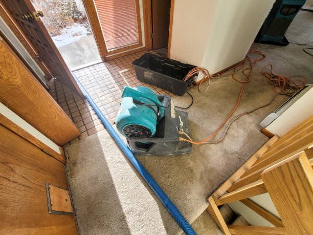 Best Local water damage restoration  in Nevada, MO